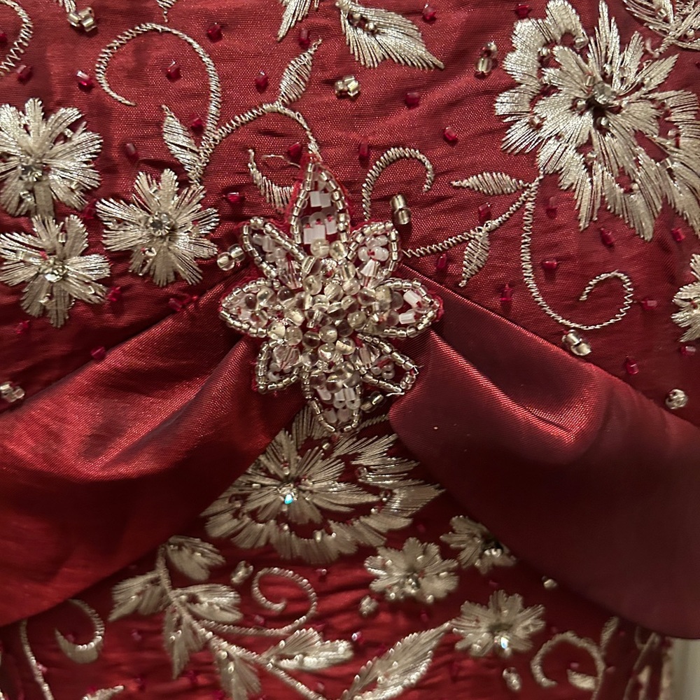 Quince/ prom dress - Picture 5 of 8